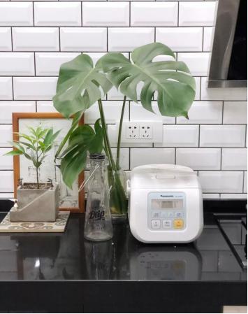 轻奢新家必备智能小家电,客厅小家电推荐