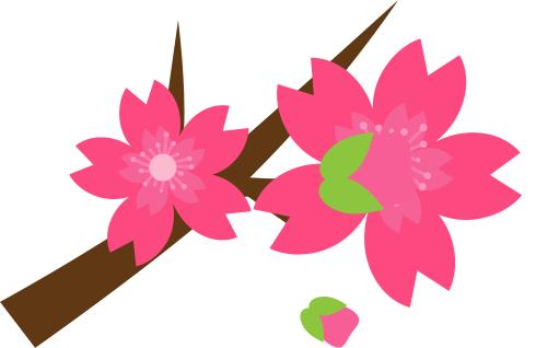 最美樱花季，国内外赏樱攻略在此！好看，好吃，好买！