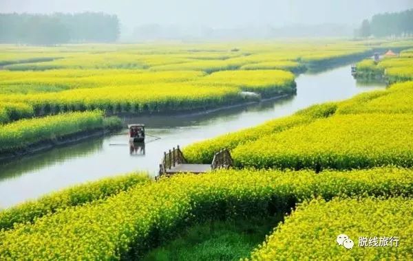 一秒钟搞定“花痴”攻略，别说我没帮你~