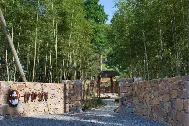 青春旅社的民宿多少钱,青春旅社是哪个民宿