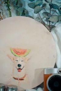 广州年底活动地推荐,深圳周末活动