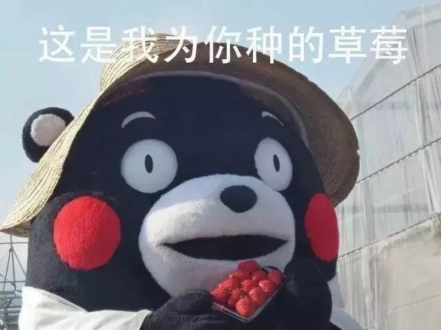 陈冠希吃的苹果,陈冠希吃的白草莓什么品种