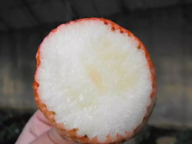 陈冠希吃的苹果,陈冠希吃的白草莓什么品种