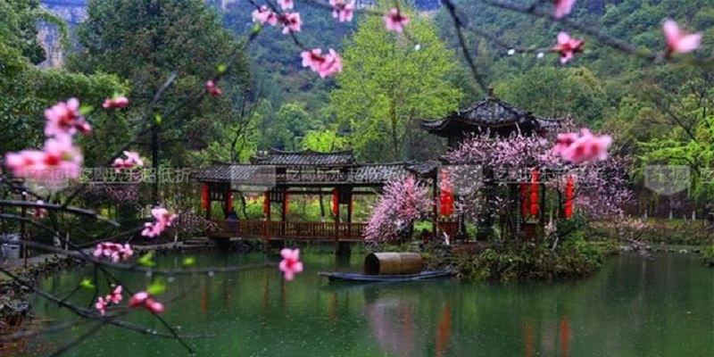 海南省乡村旅游发展现状与策略,海南发展旅游业的有利条件