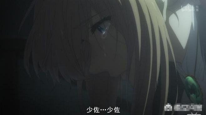 现在的京紫怎么样了,京紫完整版