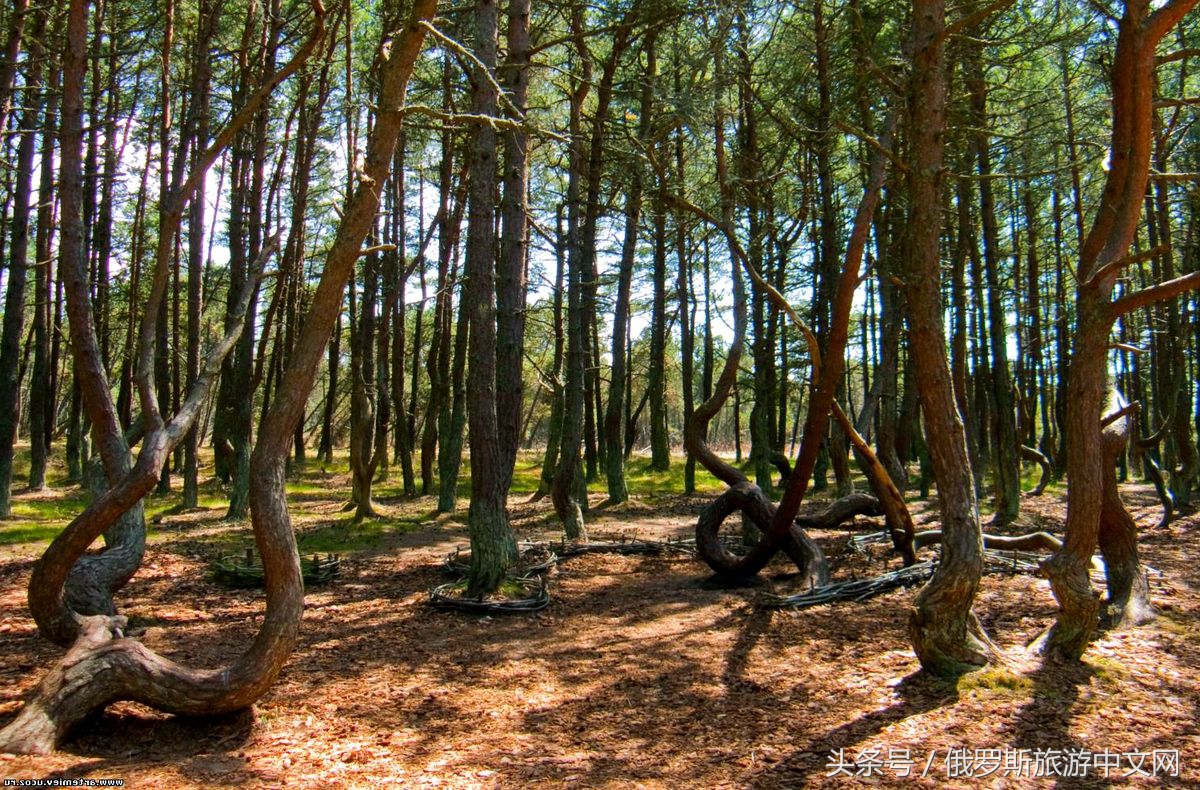 俄罗斯遗产目录大全,格鲁吉亚世界遗产名录