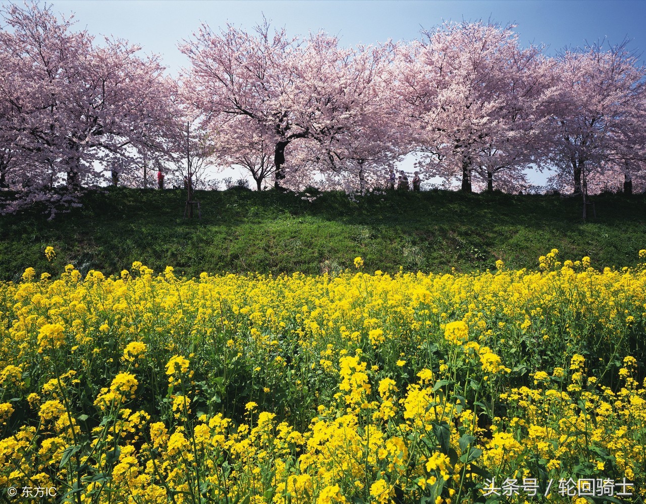 办公室风水简单易懂的招财法,办公室招财风水6大妙招