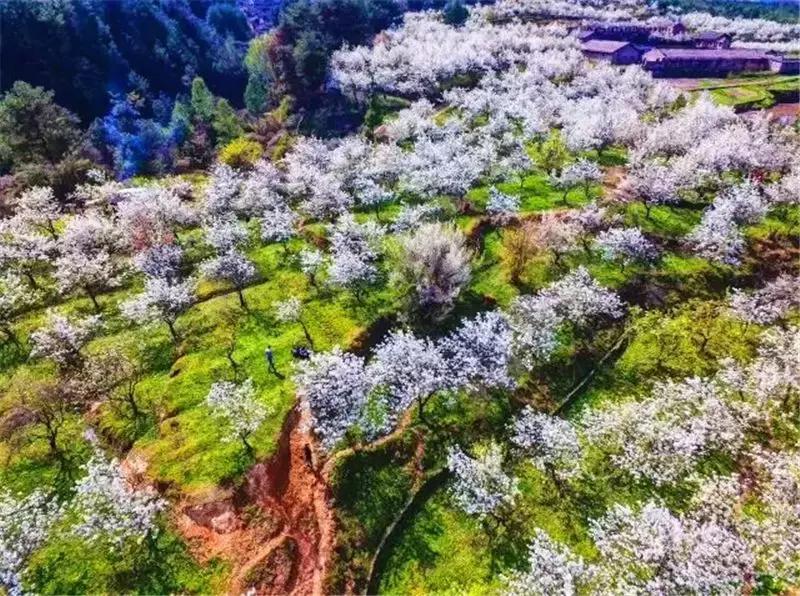 大山里的烟火人家,大巴山区通江县