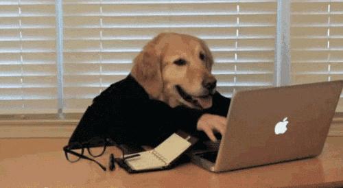 健身核心肌群训练经典动作,健身五大肌群锻炼方法