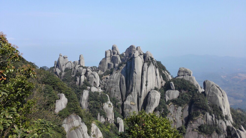 福建福鼎最美茶园,福鼎有什么美景