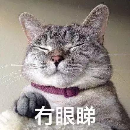 别骗我，这真的是两个字？