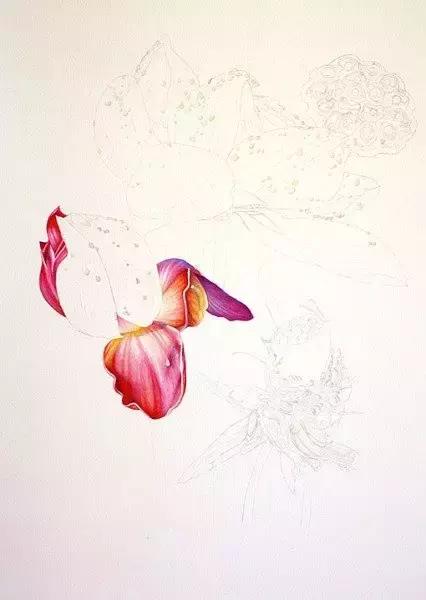 学画荷花和荷叶,荷花怎么画儿童简笔画