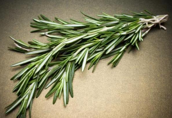 盘点10种世界上著名的带香味的草本植物