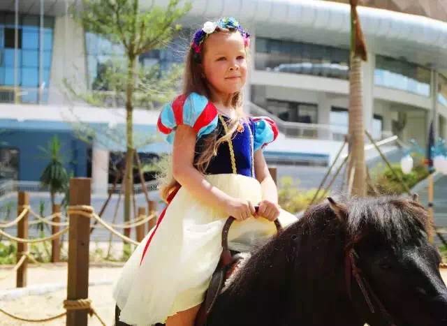 想投食小白虎、赏国际马戏？你有时间，小编有票，周末灵玲走起