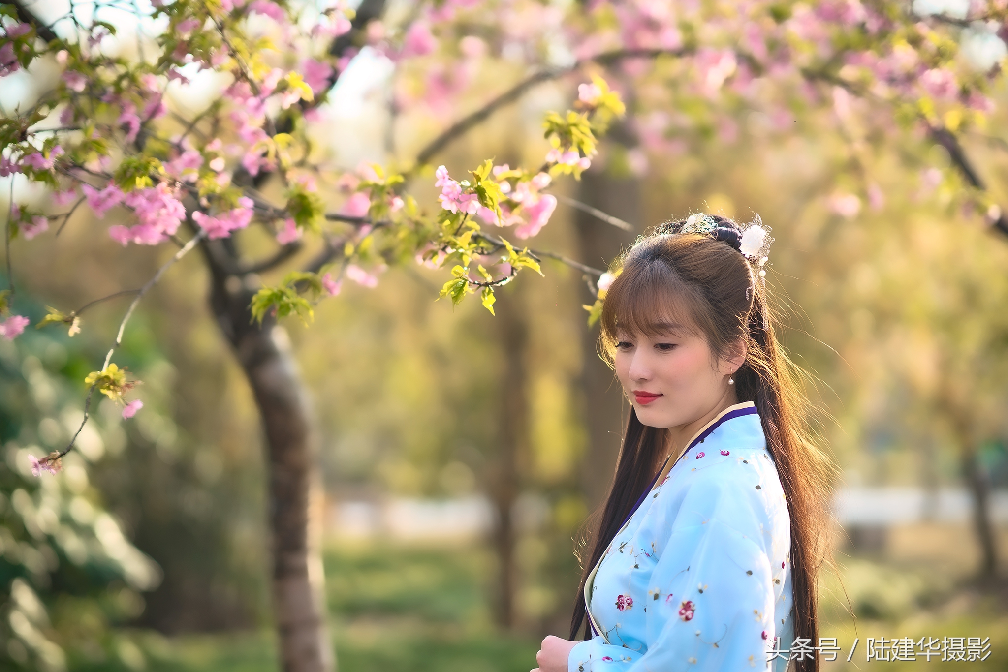 太湖赏樱花鼋头渚旅行攻略,太湖鼋头渚风景区看樱花旅游攻略