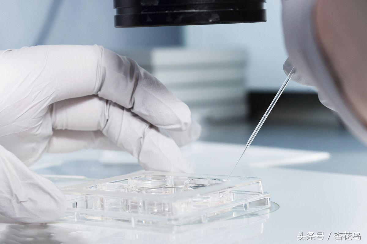 38岁女子备孕一年怀不上,该怎么办?