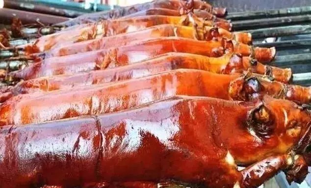 宿雾旅游游记,宿雾在菲律宾哪里