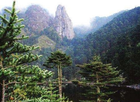 七言简短对联,对联七言绝句横联竖联