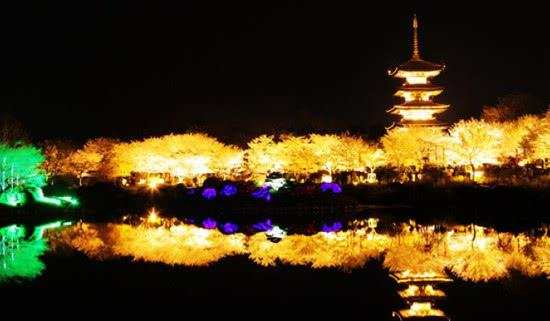 三大赏樱花胜地,又一年樱花盛开