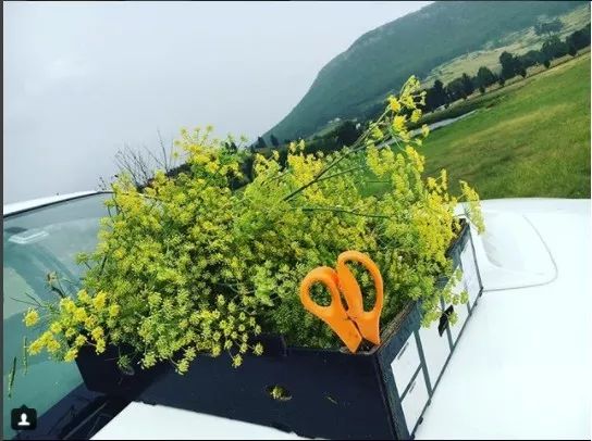 跟着澳洲大厨一起去“打野食”