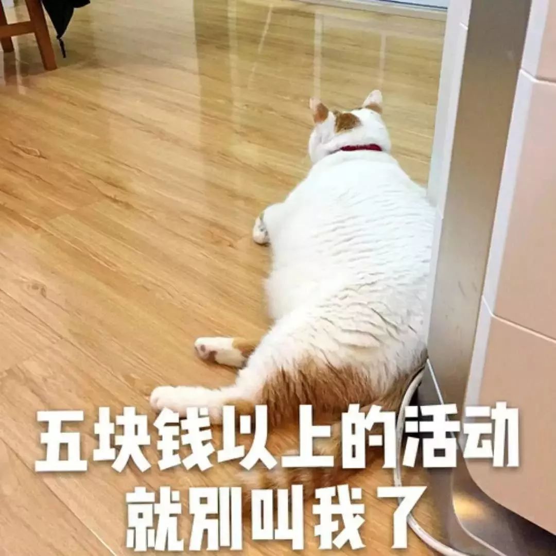 特价机票干货分享,特价机票全攻略教你快速买到便宜