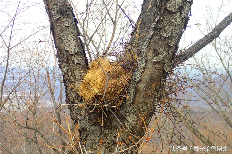 本溪关门山徒步攻略,边走边拍风景视频素材