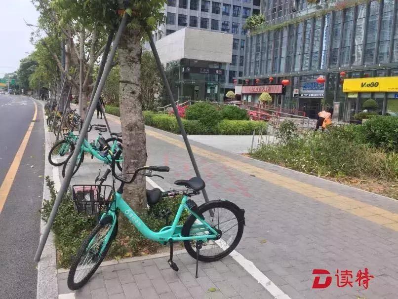 深圳最新共享单车消息,深圳共享单车乱象怎么办
