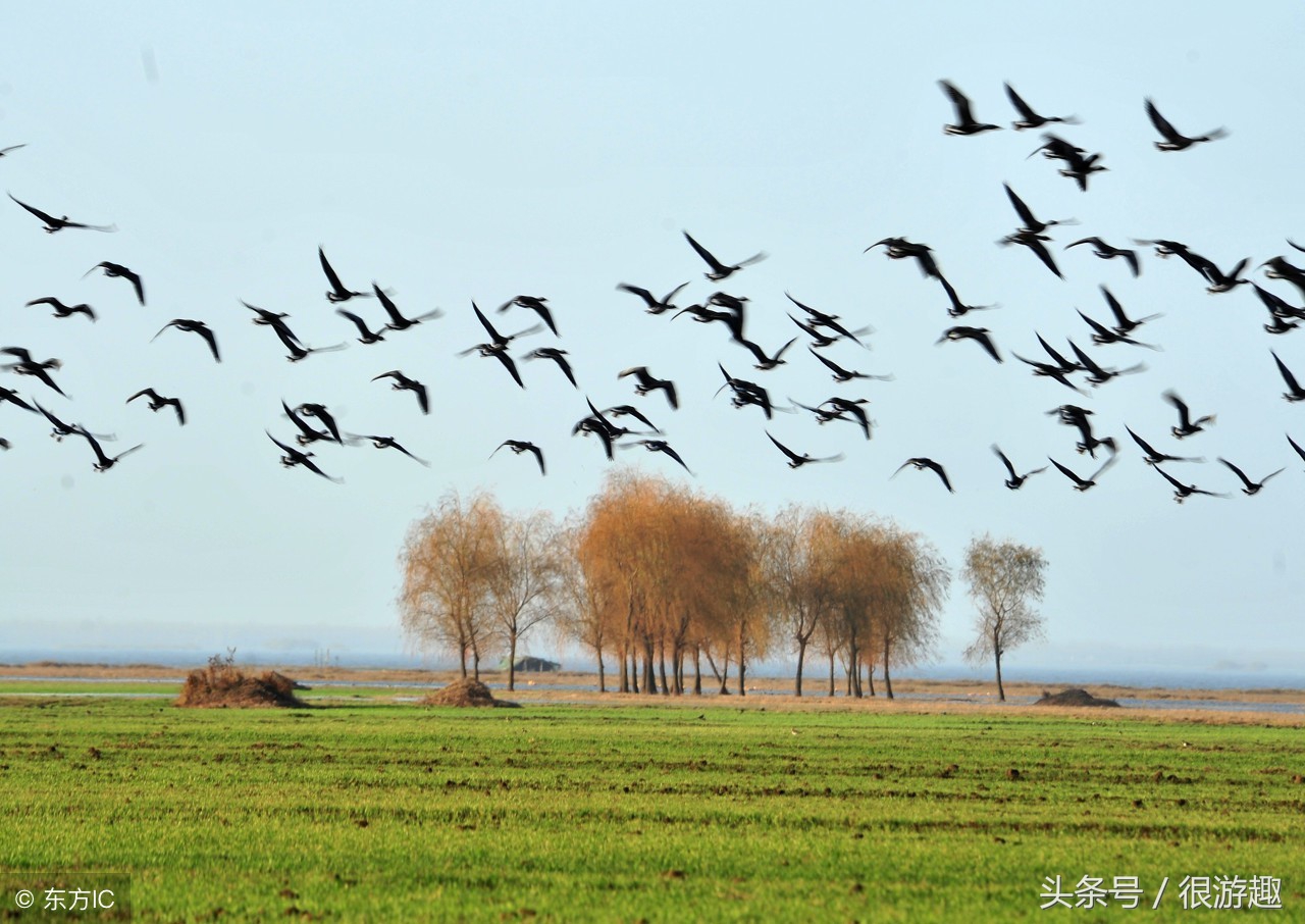 中国最具影响力三大商帮,中国十大商帮现在有哪些产业带