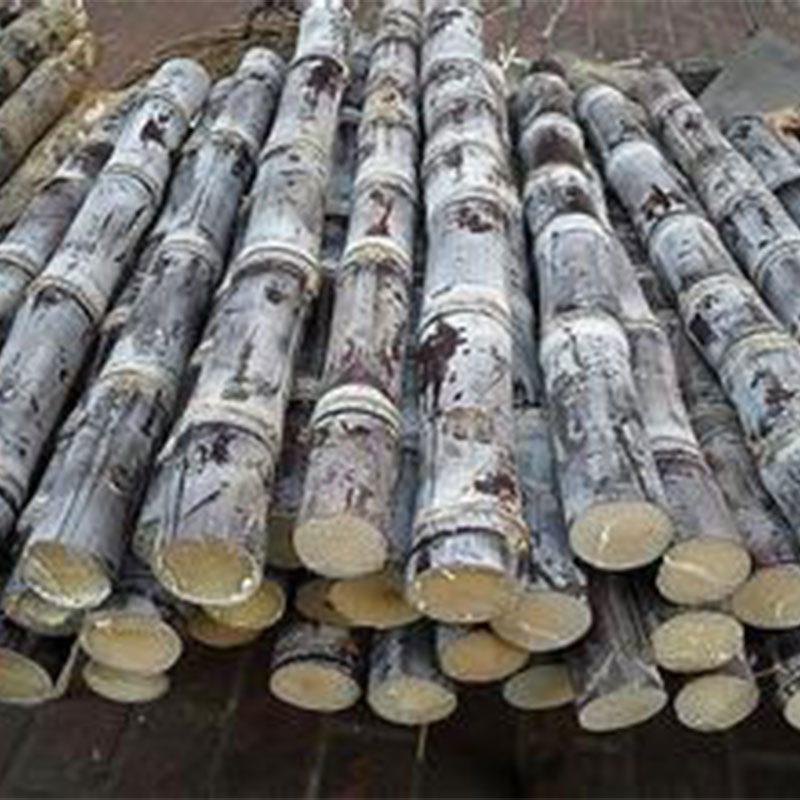 一月的应季水果有什么,一年之中各个月份的应季水果