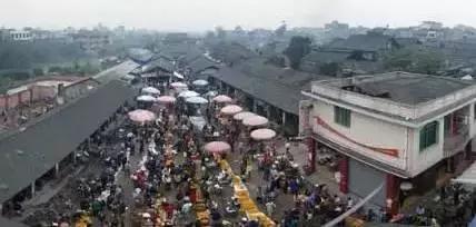 乐山市中区附近免费景点,乐山周边美丽乡村