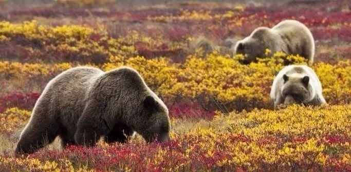 诺唯真喜悦号2024年航线,诺唯真喜悦号邮轮下水纪录片