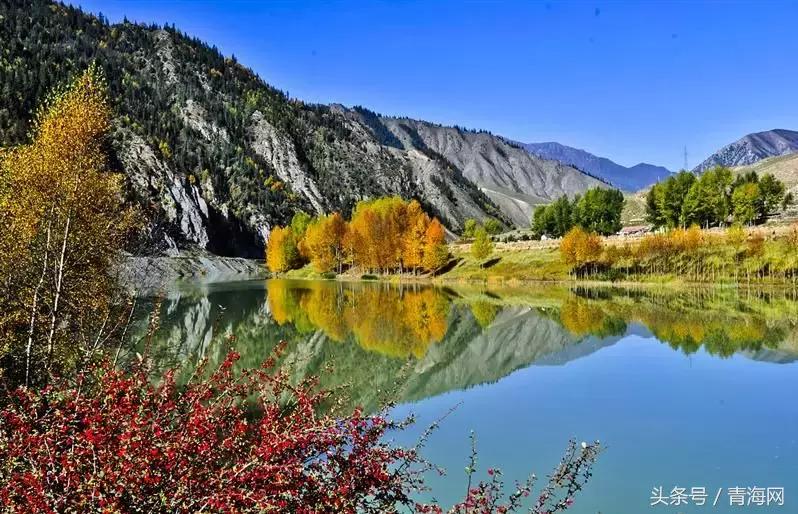 青海双修城市名单,青海第一批省级生态修复试点城市