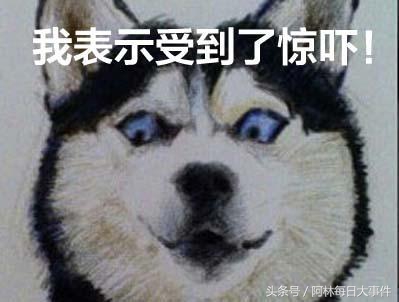 中国乔丹侵权案终审败诉视频,耐克被侵权