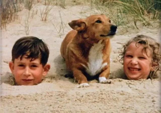 不可多得的解释,不可多得的回忆