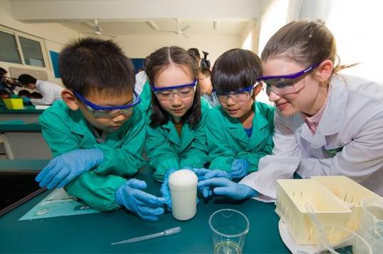 深圳正编老师容易考上吗,深圳正编教师能跨区调动吗