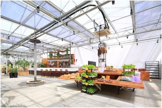 两家隐匿在迪士尼边的亲子度假庄园,采摘、烘焙,好的不得了!