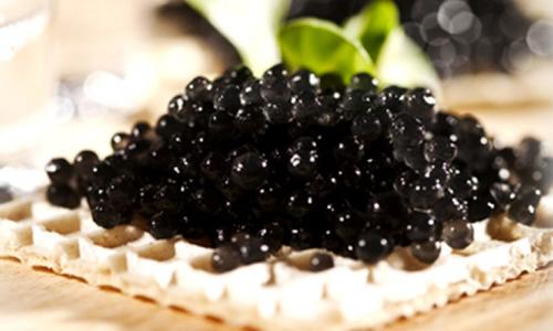 最顶级六种鱼子酱,正宗鱼子酱有哪几种