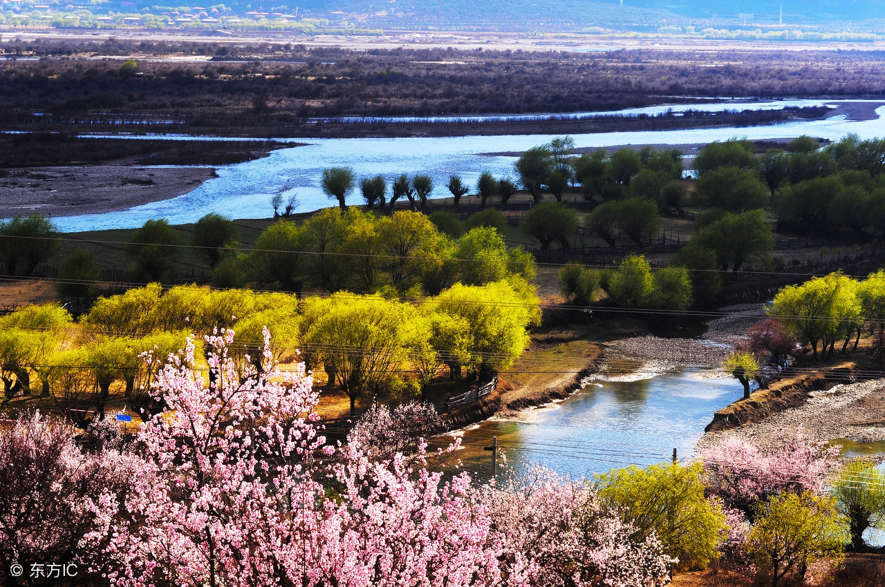 去日本旅游看到的一部车,自驾藏西
