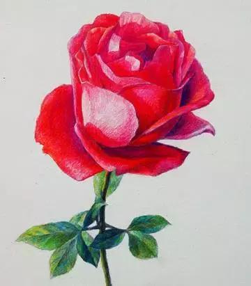 为什么画素描就和涂颜色一样,为什么画素描要用素描笔