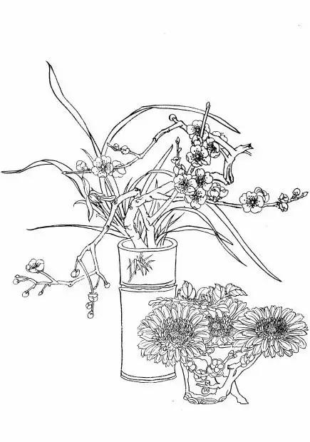 入门白描花卉菊花视频,白描菊花国画如何上色