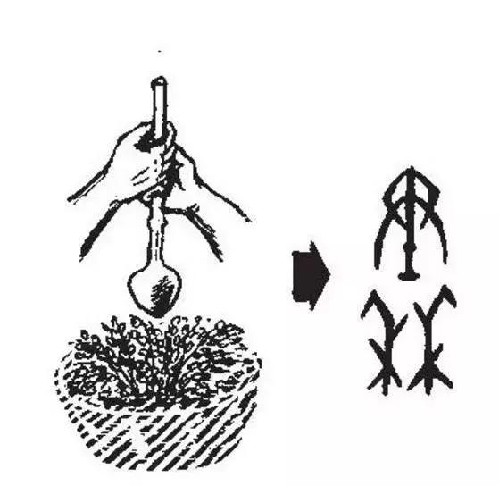 全国各省自治区的简称,各省简称及省会顺口溜