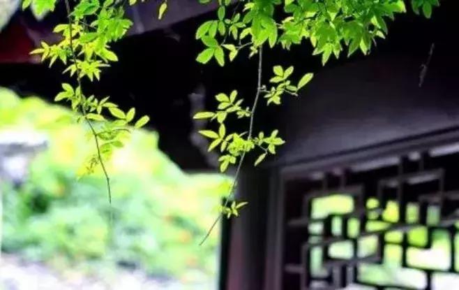 古代家风家训的小故事,古代家规家训家风