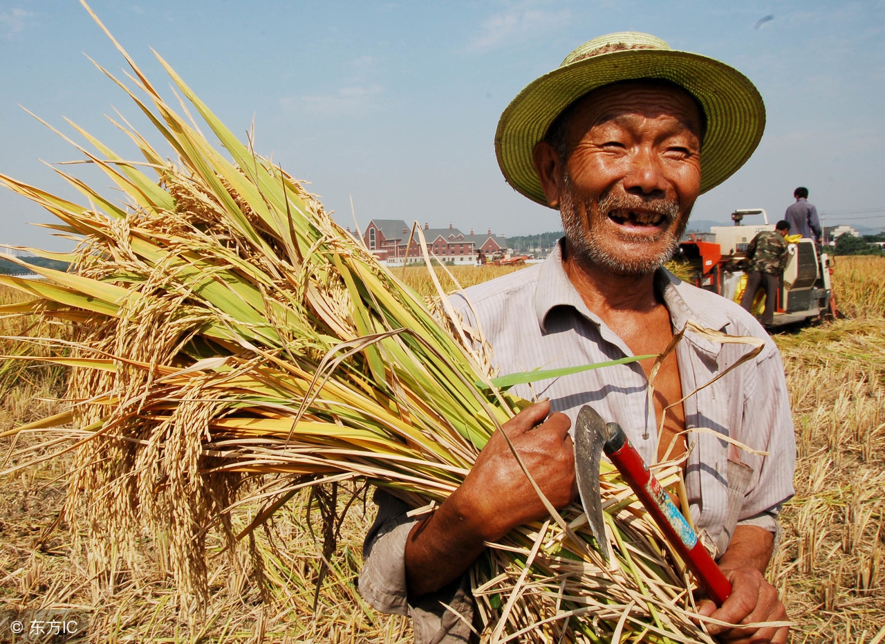 农村创业项目成功的两个必备条件,农民缺钱怎么办