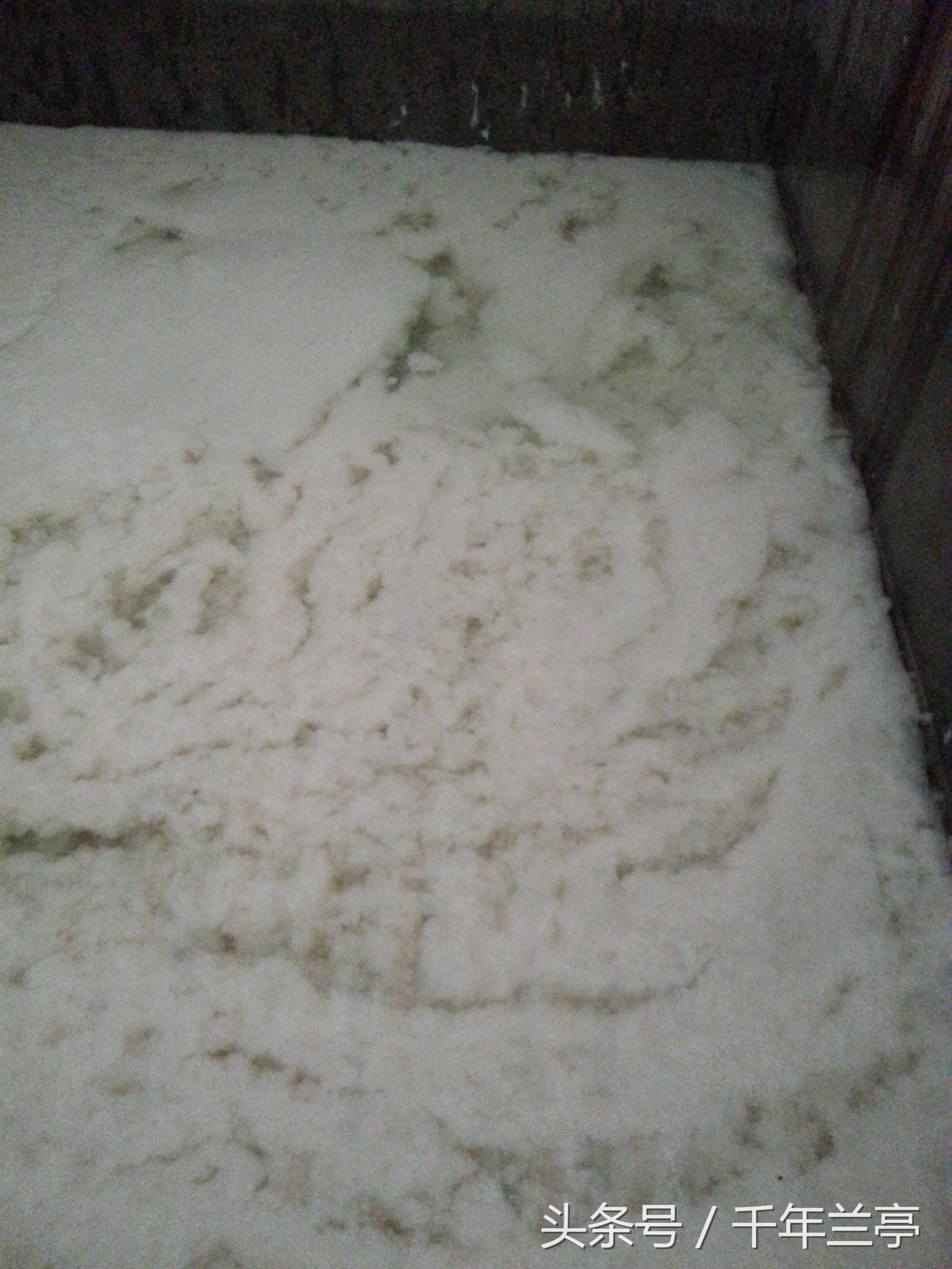 宣纸可以保存多少年,宣纸字画怎么保存