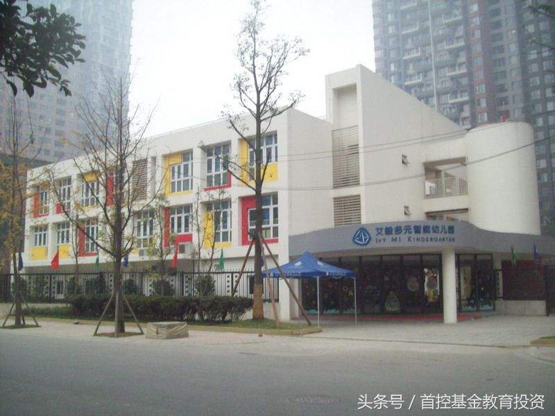 百强幼教集团,幼教集团的创新改革和发展