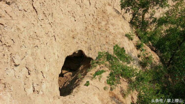 北朝壁画墓发现及考古始末,北朝考古博物馆纪录片