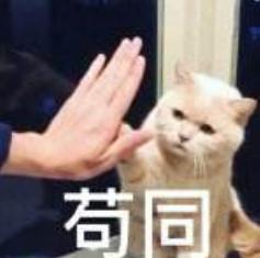 绝地求生刺激战场阴人地点有哪些,绝地求生刺激战场团队模式四人