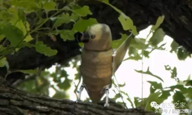 小至指间，大至鲲鹏，未来的无人机世界—“商机、杀机、无人机”