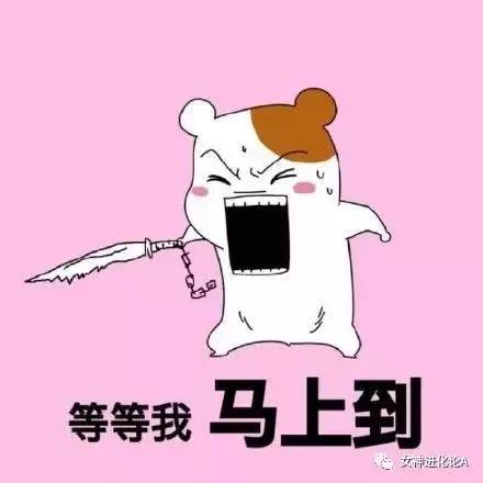 网红四层转动眼影盘,网红眼影盘腮红高光修容一体盘