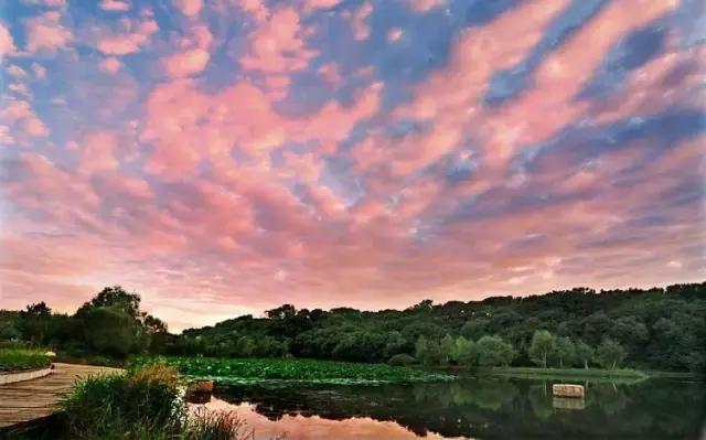 春暖花开微风吹来,春暖花开吹来阵阵花香